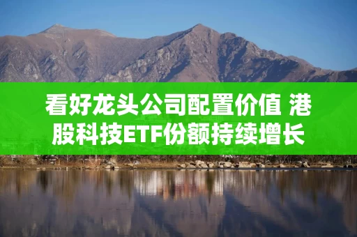 看好龙头公司配置价值 港股科技ETF份额持续增长
