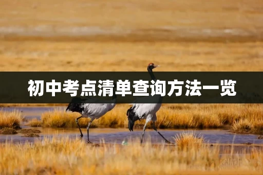 初中考点清单查询方法一览