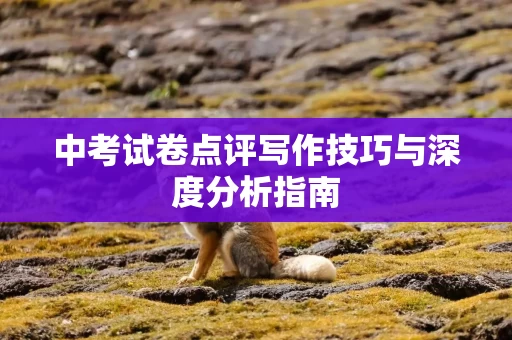 中考试卷点评写作技巧与深度分析指南
