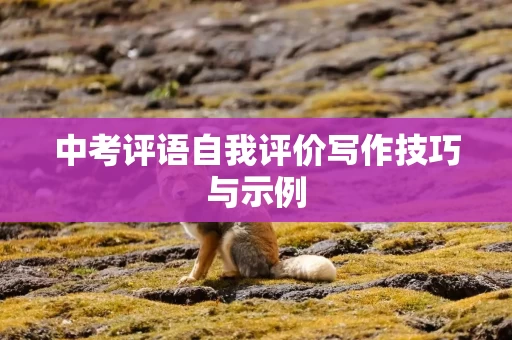 中考评语自我评价写作技巧与示例