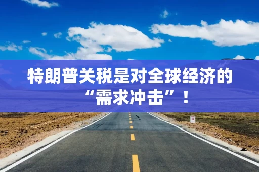 特朗普关税是对全球经济的“需求冲击”！