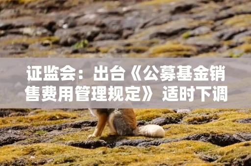 证监会：出台《公募基金销售费用管理规定》 适时下调大规模指数基金、货币市场基金的管理费率与托管费率