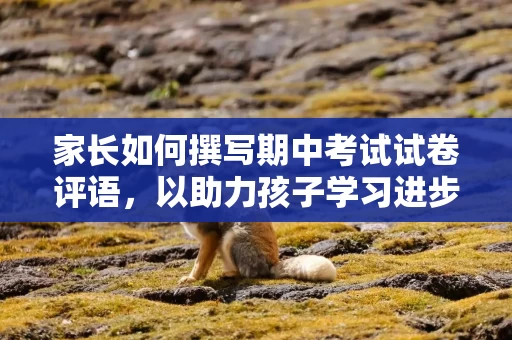 家长如何撰写期中考试试卷评语，以助力孩子学习进步