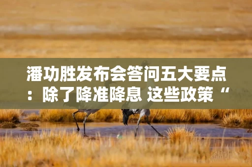 潘功胜发布会答问五大要点：除了降准降息 这些政策“含金量”也很高