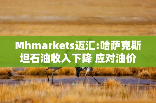 Mhmarkets迈汇:哈萨克斯坦石油收入下降 应对油价波动