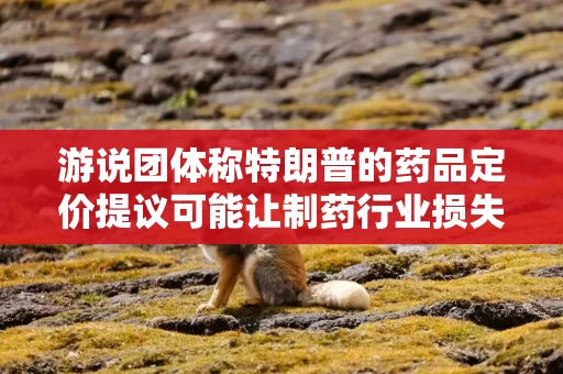 游说团体称特朗普的药品定价提议可能让制药行业损失一万亿美元