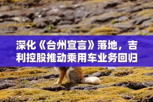 深化《台州宣言》落地，吉利控股推动乘用车业务回归“一个吉利”