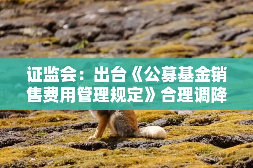 证监会：出台《公募基金销售费用管理规定》合理调降公募基金的认申购费和销售服务费