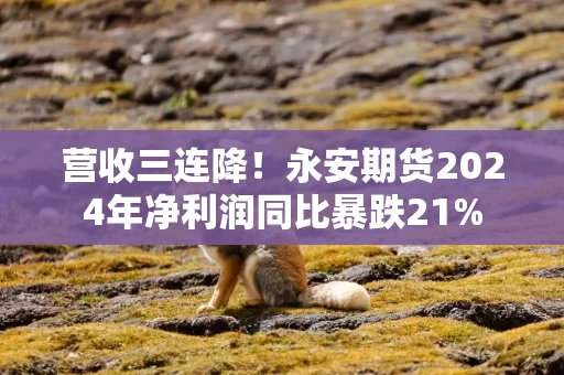 营收三连降！永安期货2024年净利润同比暴跌21%