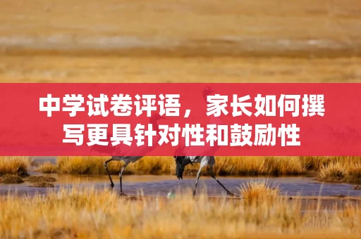 中学试卷评语，家长如何撰写更具针对性和鼓励性