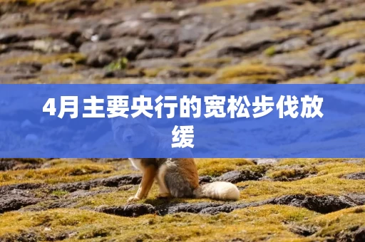 4月主要央行的宽松步伐放缓