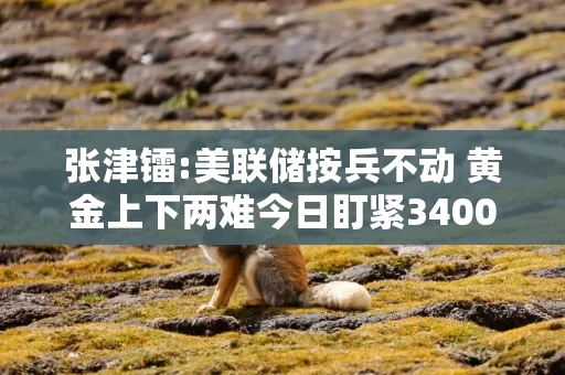 张津镭:美联储按兵不动 黄金上下两难今日盯紧3400破位信号