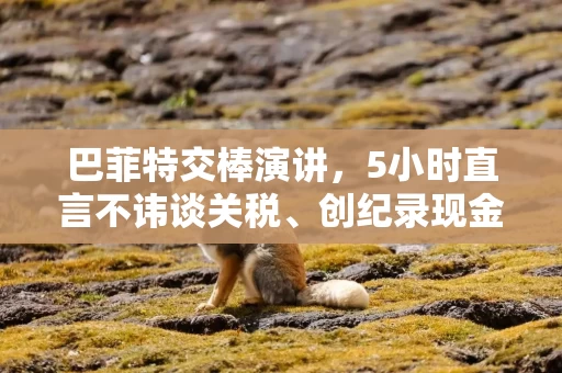 巴菲特交棒演讲，5小时直言不讳谈关税、创纪录现金及未来等