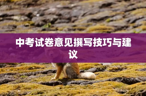 中考试卷意见撰写技巧与建议