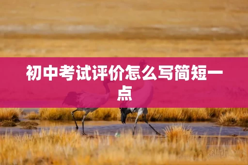 初中考试评价怎么写简短一点