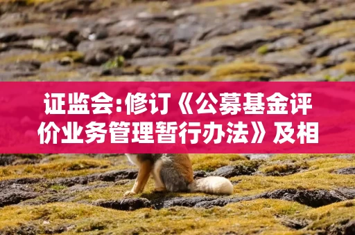 证监会:修订《公募基金评价业务管理暂行办法》及相关自律规则 构建以五年以上长周期业绩为核心评价评奖体系