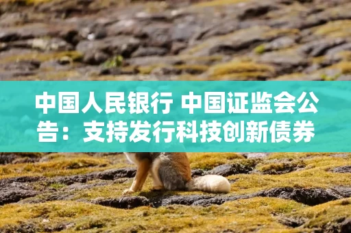 中国人民银行 中国证监会公告：支持发行科技创新债券有关事宜公告