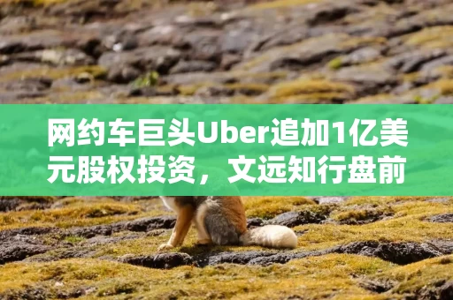 网约车巨头Uber追加1亿美元股权投资，文远知行盘前涨超8%