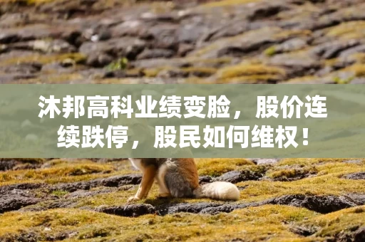 沐邦高科业绩变脸，股价连续跌停，股民如何维权！