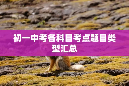 初一中考各科目考点题目类型汇总