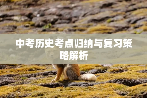 中考历史考点归纳与复习策略解析