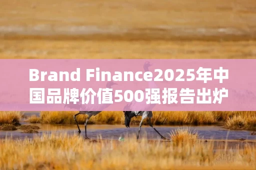 Brand Finance2025年中国品牌价值500强报告出炉，茅台与五粮液继续领跑烈酒行业