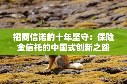 招商信诺的十年坚守：保险金信托的中国式创新之路