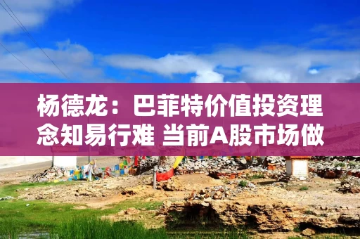 杨德龙：巴菲特价值投资理念知易行难 当前A股市场做价值投资正当其时
