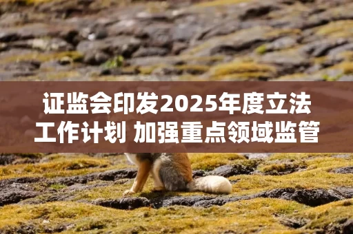 证监会印发2025年度立法工作计划 加强重点领域监管 《证券基金投资咨询业务管理办法》等有望年内出台