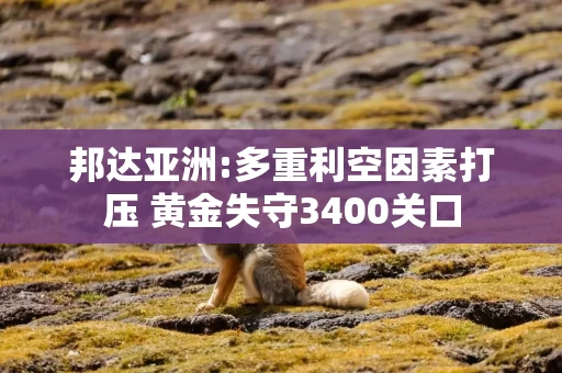 邦达亚洲:多重利空因素打压 黄金失守3400关口