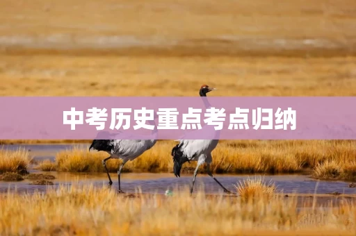 中考历史重点考点归纳