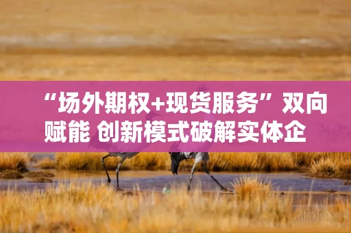 “场外期权+现货服务”双向赋能 创新模式破解实体企业经营困局
