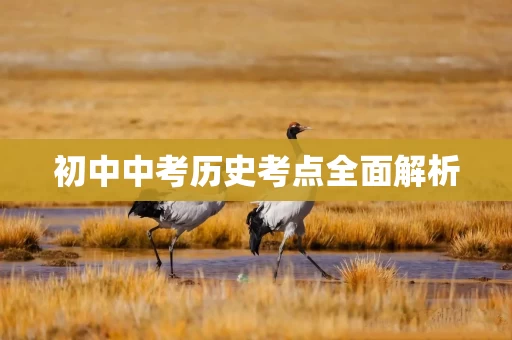 初中中考历史考点全面解析