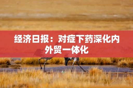 经济日报：对症下药深化内外贸一体化