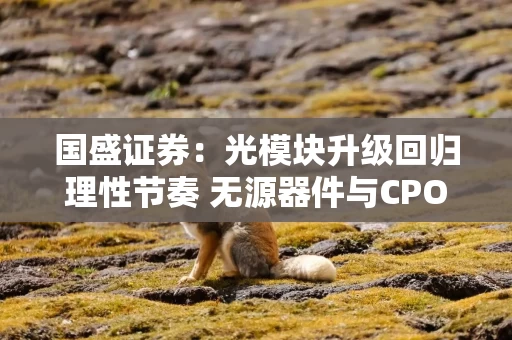 国盛证券：光模块升级回归理性节奏 无源器件与CPO价值重估