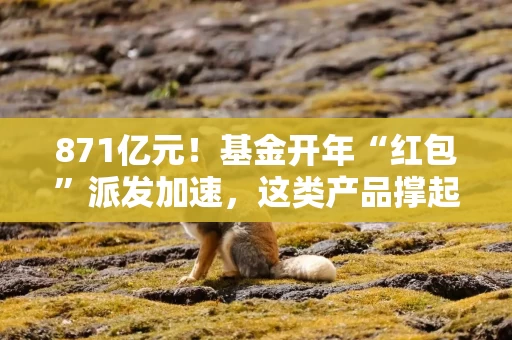 871亿元！基金开年“红包”派发加速，这类产品撑起分红大盘