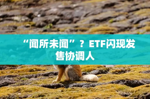“闻所未闻”？ETF闪现发售协调人