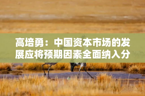 高培勇：中国资本市场的发展应将预期因素全面纳入分析和监测体系