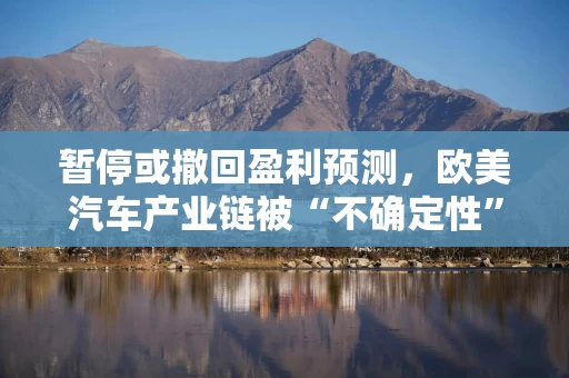 暂停或撤回盈利预测，欧美汽车产业链被“不确定性”包围