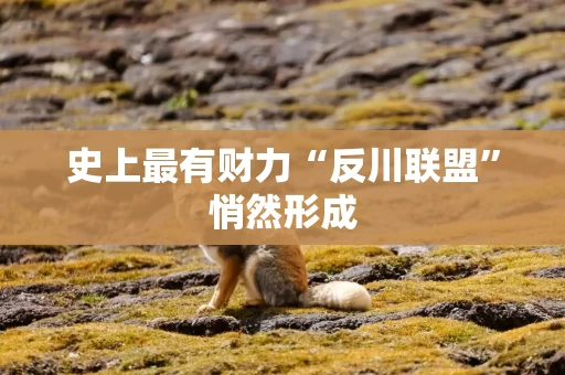 史上最有财力“反川联盟”悄然形成