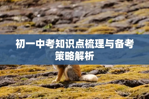初一中考知识点梳理与备考策略解析