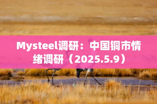 Mysteel调研：中国铜市情绪调研（2025.5.9）