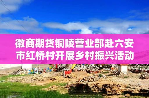 徽商期货铜陵营业部赴六安市红桥村开展乡村振兴活动