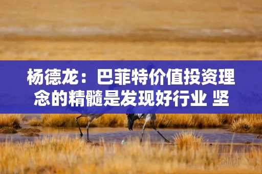 杨德龙：巴菲特价值投资理念的精髓是发现好行业 坚守好公司