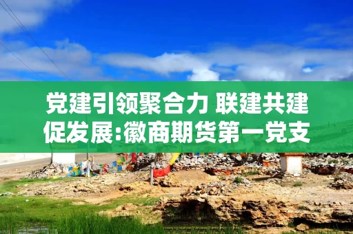 党建引领聚合力 联建共建促发展:徽商期货第一党支部与东吴期货党支部开展党建共建活动