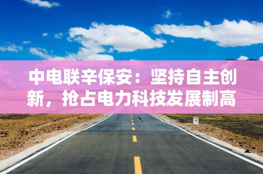 中电联辛保安：坚持自主创新，抢占电力科技发展制高点