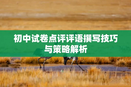 初中试卷点评评语撰写技巧与策略解析