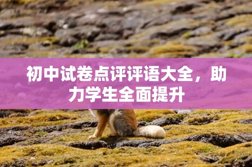 初中试卷点评评语大全，助力学生全面提升
