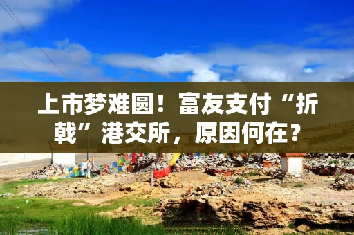 上市梦难圆！富友支付“折戟”港交所，原因何在？