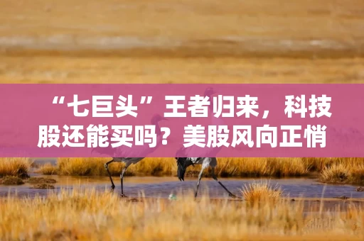 “七巨头”王者归来，科技股还能买吗？美股风向正悄悄转变！